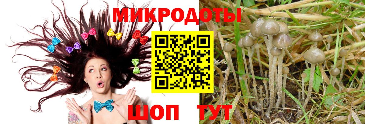 Псилоцибиновые грибы GOLDEN TEACHER  цены наркотик  Первоуральск  Вход с VPN  Галлюциногенные грибы мухоморы 