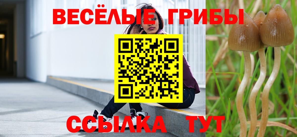 Галлюциногенные грибы Cubensis Первоуральск